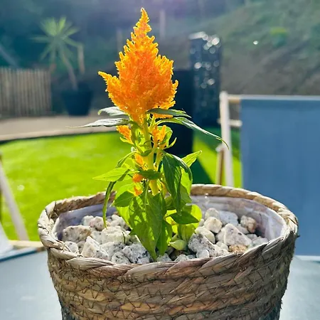 فيلة A Casa Di Ghjulia Piscine Chauffee Proche St Florent *