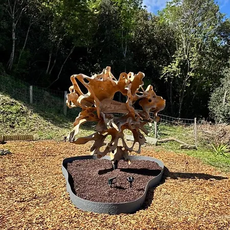 A Casa Di Ghjulia Piscine Chauffee Proche St Florent *