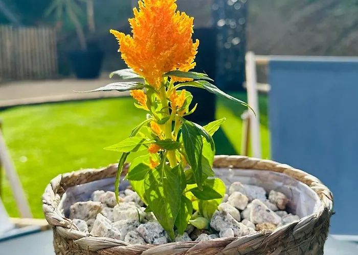 别墅 A Casa Di Ghjulia Piscine Chauffee Proche St Florent *