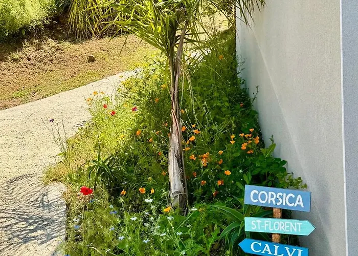 A Casa Di Ghjulia Piscine Chauffee Proche St Florent Villa